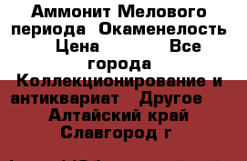 Аммонит Мелового периода. Окаменелость. › Цена ­ 2 800 - Все города Коллекционирование и антиквариат » Другое   . Алтайский край,Славгород г.